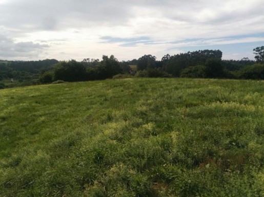 Finca rustica en venta en Novales por 40.000 € Finca rustica en venta en Novales por 40.000 €