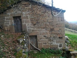 CABAÑA CON AGUA, LUZ CERCA