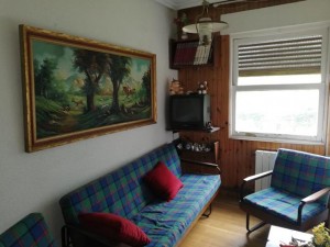 Chalet individual con parcela 