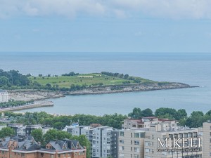 Pios con terraza y 3 habita