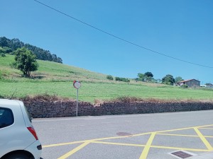 Bajo con jardin, garaje,traste
