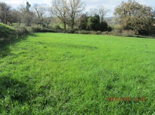 terreno urbano cerca Santander