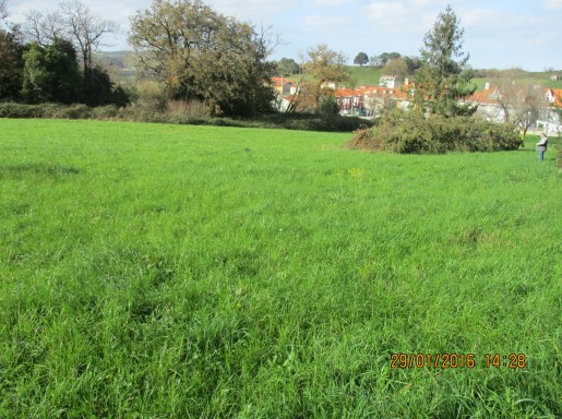 terreno urbano cerca Santander