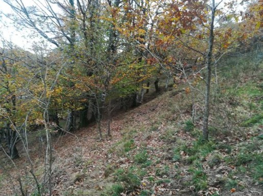 CABAÑA CON AGUA, LUZ CERCA