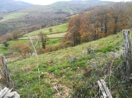 CABAÑA CON AGUA, LUZ CERCA
