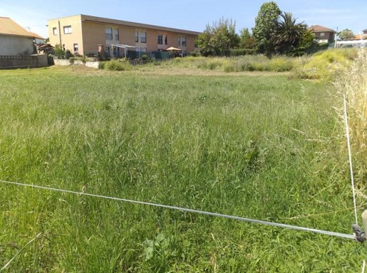 TERRENO URBANIZABLE MIENGO