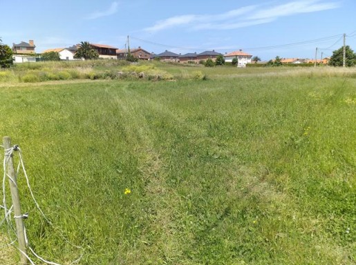 TERRENO URBANIZABLE MIENGO