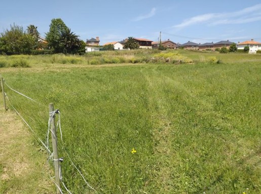 TERRENO URBANIZABLE MIENGO