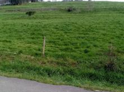 TERRENO RUSTICO ORUÑA 