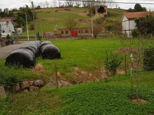 TERRENO URBANO LIAÑO 