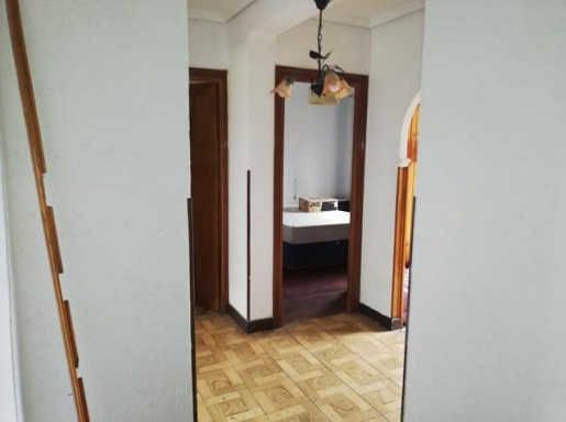 Chalet individual con parcela 