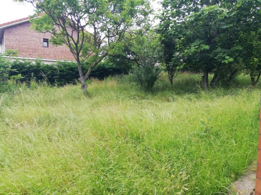 Chalet individual con parcela 