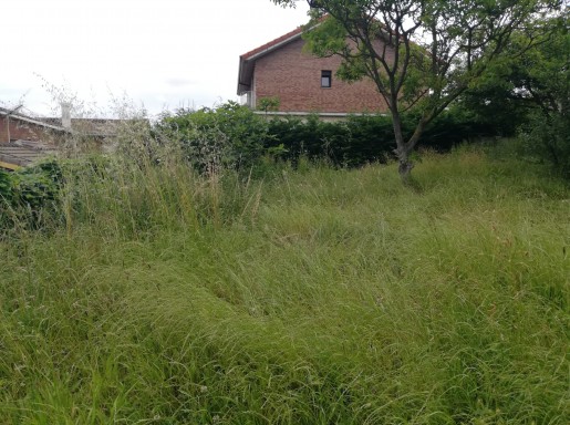 Chalet individual con parcela 