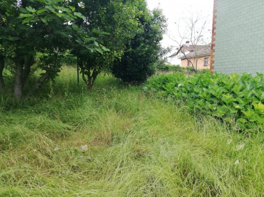 Chalet individual con parcela 