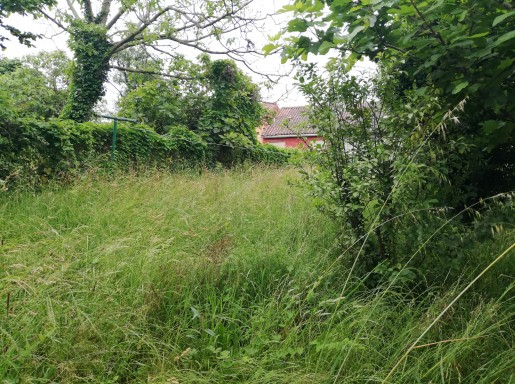 Chalet individual con parcela 