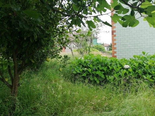 Chalet individual con parcela 