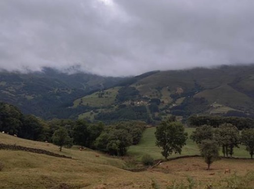 Cabaña reformada luz y agua