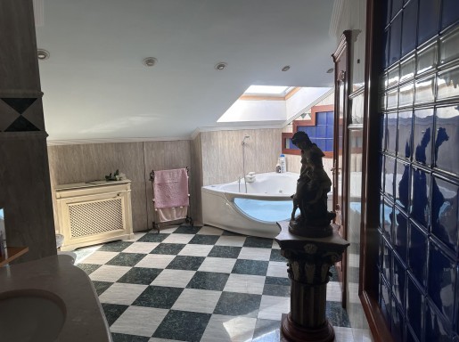 Chalet individual con pisicina