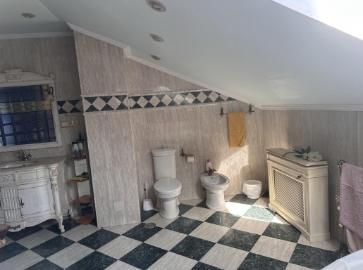 Chalet individual con pisicina