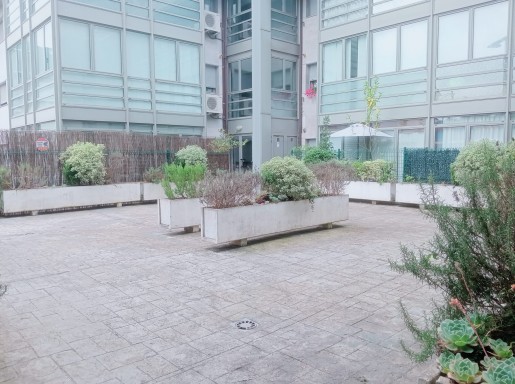 Bajo con jardin 2 haitacioes