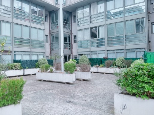 Bajo con jardin 2 haitacioes