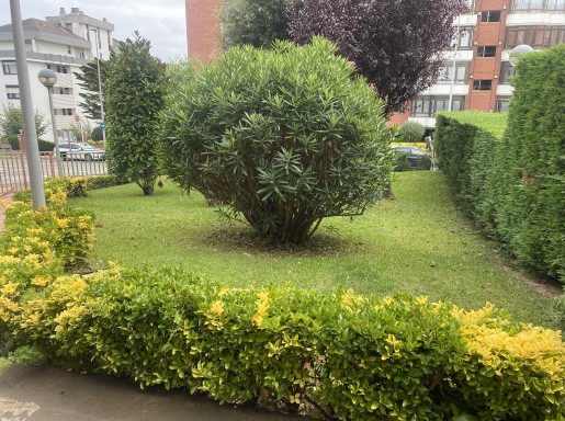 Duplex  con garaje y trastero