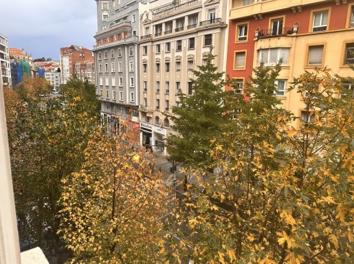 piso centro 4 habitaciones 