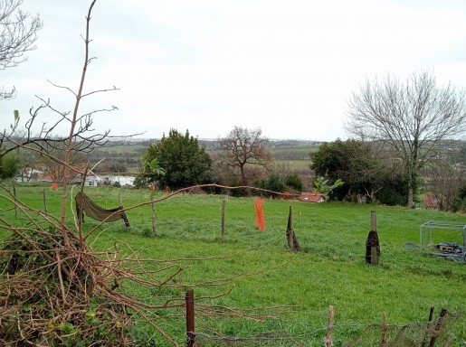 Casa piedra  garaje y jardin