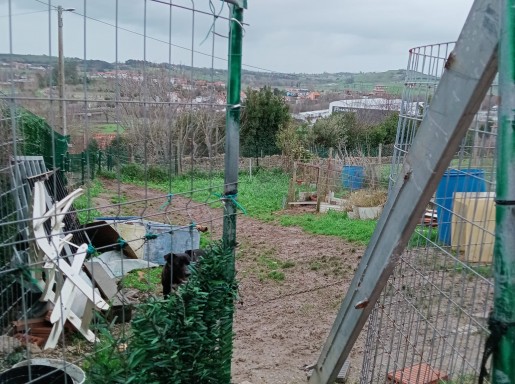 Casa piedra  garaje y jardin