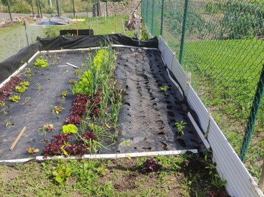 Casa piedra  garaje y jardin