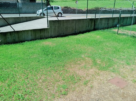 Bajo con jardin, garaje,traste