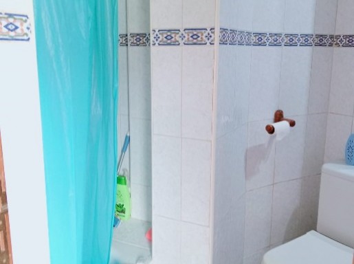 VIVIENDA EN EL CENTRO .